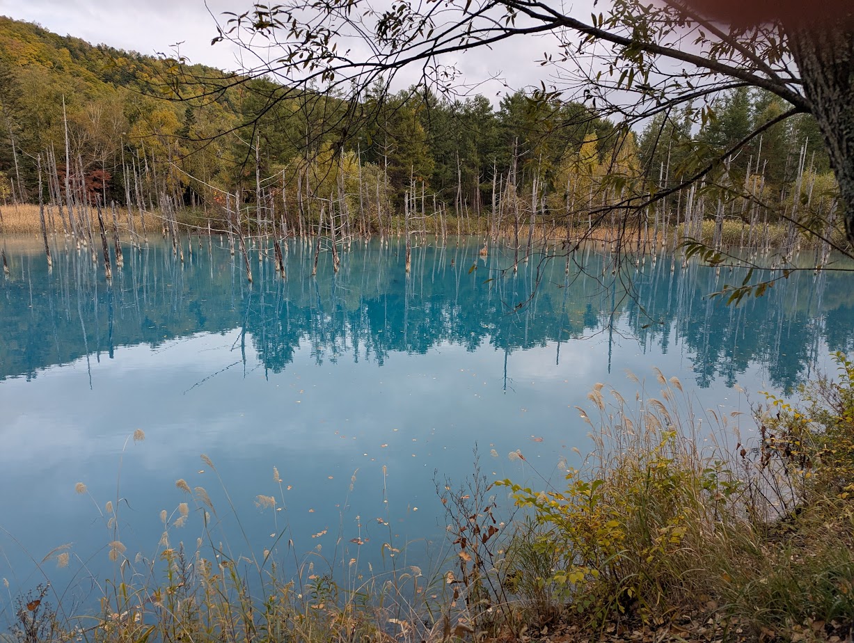 Shirogane Blue Pond