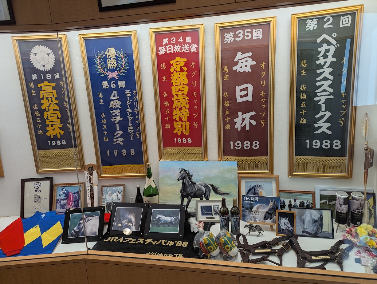 展示品