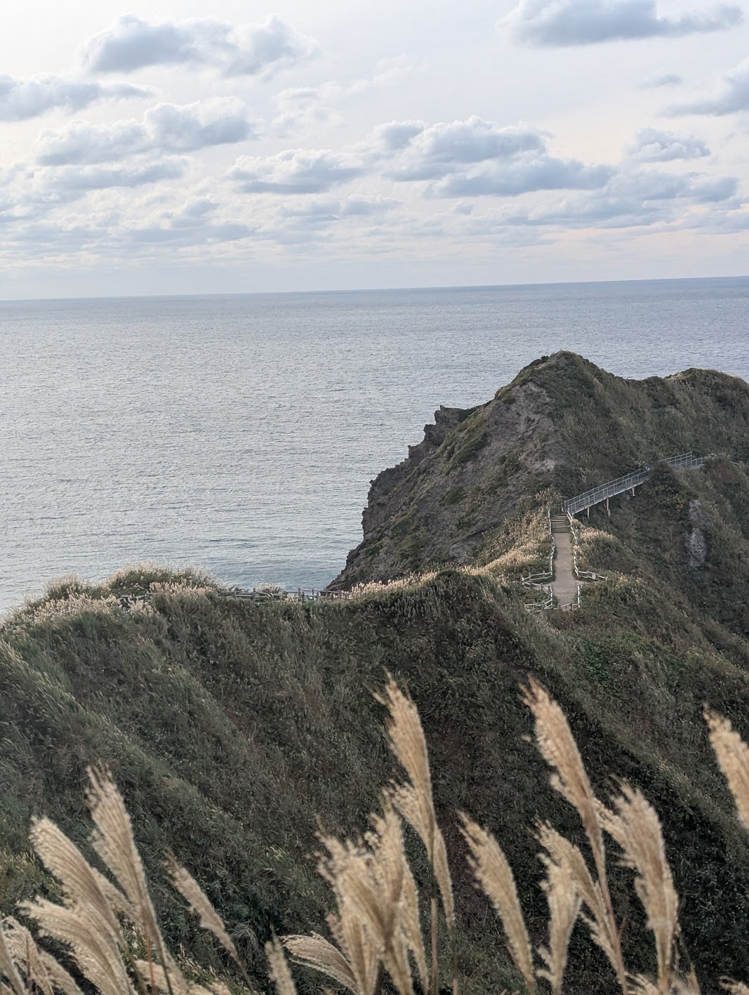 神威岬の風景