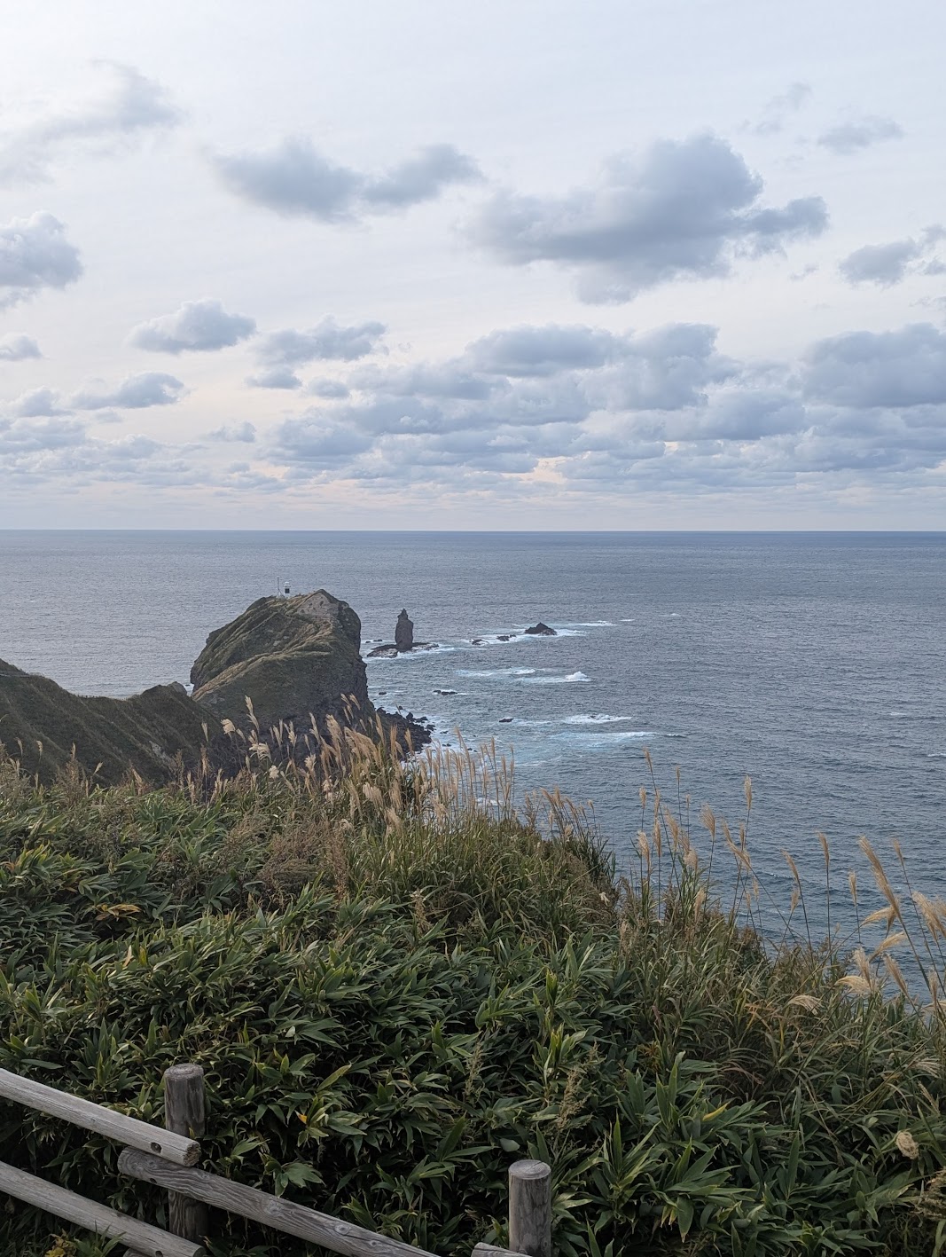 広大な積丹の海